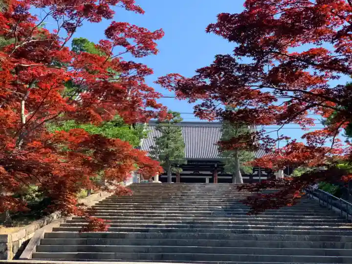 くろ谷 金戒光明寺のその他建物