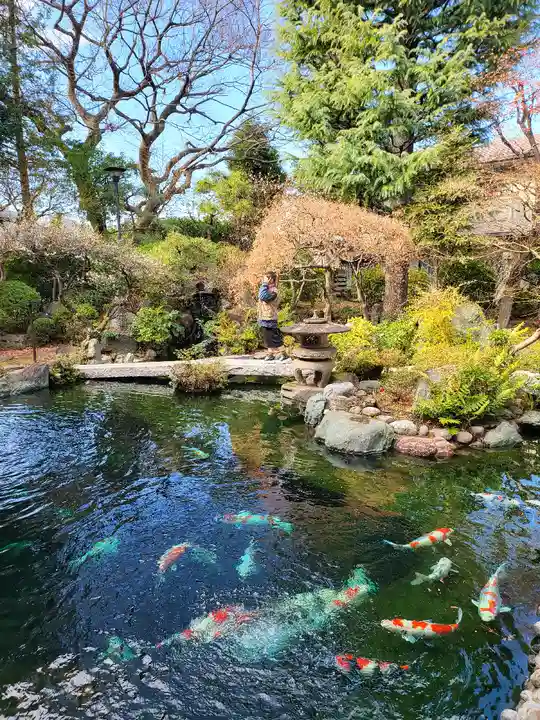 感通寺(東京都)