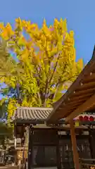 護王神社(京都府)