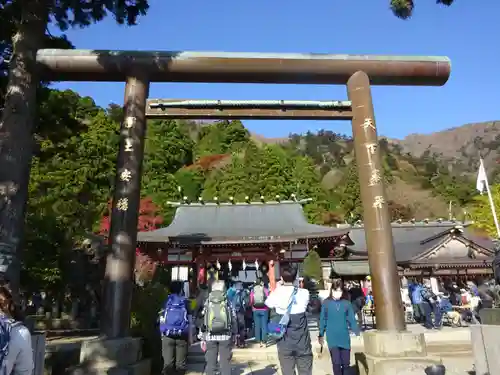 大山阿夫利神社の鳥居