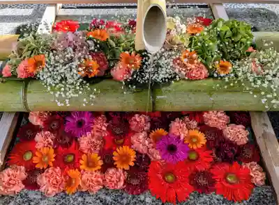 白山神社(新潟県)