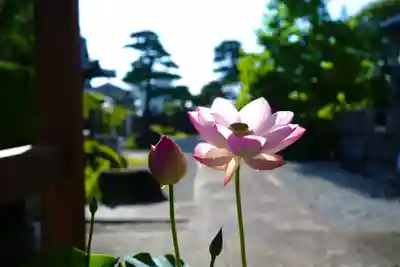 法源寺(山梨県)