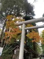 天岩戸神社の自然