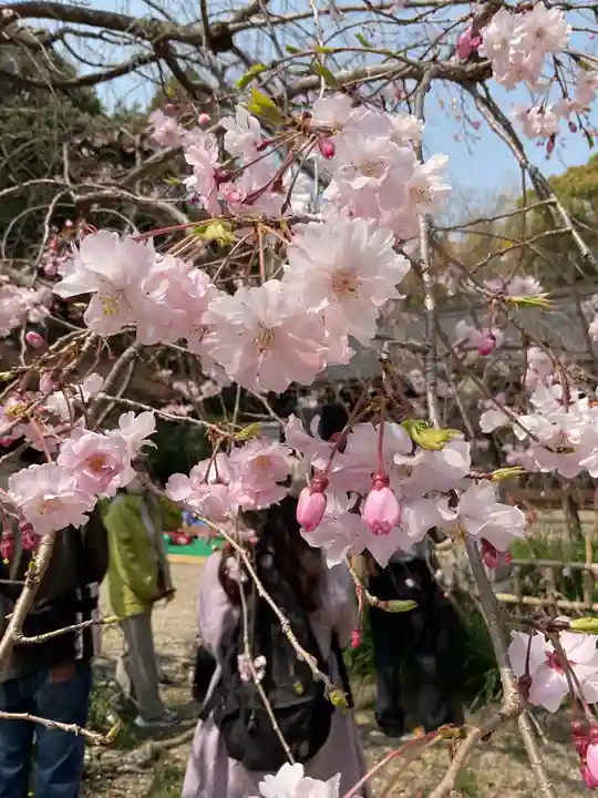 富部神社(愛知県)