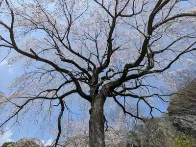 紹太寺(神奈川県)