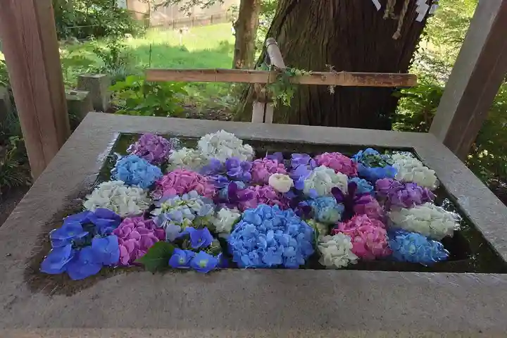 糀谷八幡宮(埼玉県)