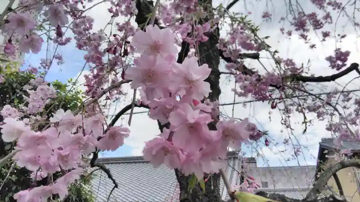 安樂寺天満宮の自然