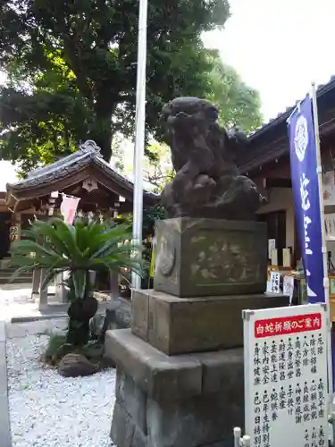 蛇窪神社の狛犬