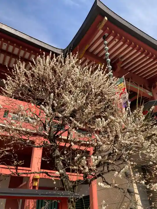 瀧泉寺(目黒不動尊)(東京都)