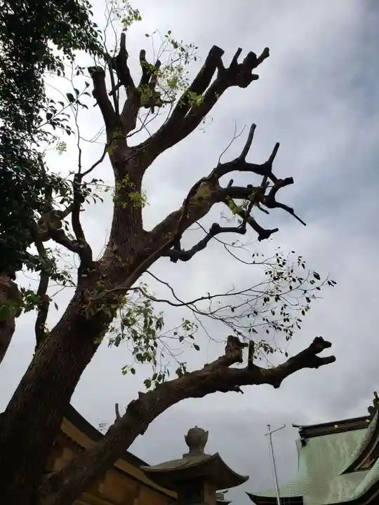 諏訪神社(東京都)