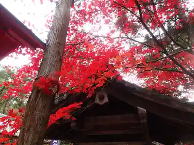 三宅八幡宮の本殿・本堂