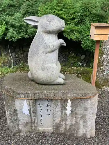 出雲大神宮の狛犬