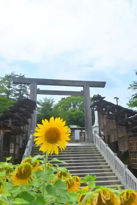 伊勢山皇大神宮(神奈川県)