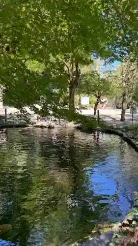 伊豆山神社(静岡県)