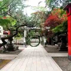 彌彦神社　(伊夜日子神社)(北海道)