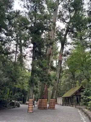 伊勢神宮内宮（皇大神宮）(三重県)