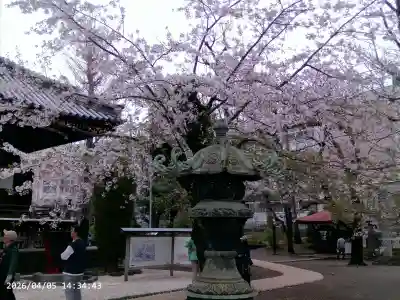 寛永寺(根本中堂)(東京都)