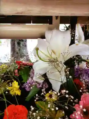 鳩森八幡神社の手水舎