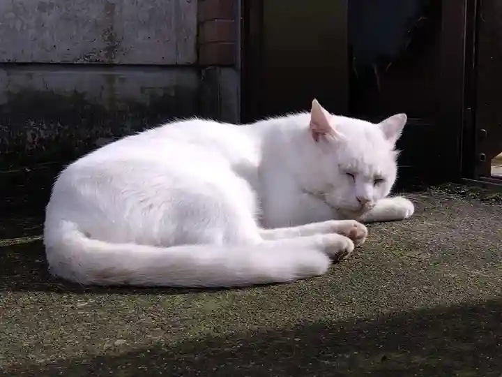 風巻神社(新潟県)