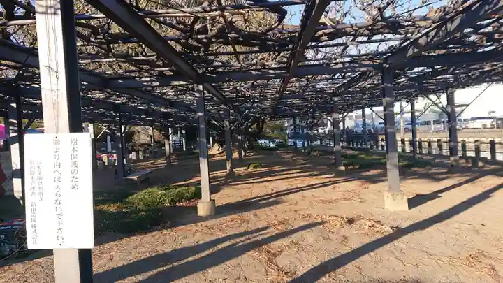 照明寺 (反町薬師尊)(群馬県)