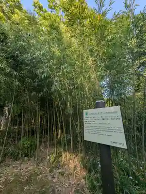 西明寺(栃木県)