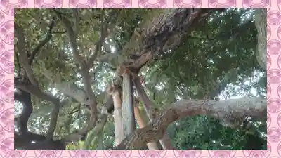 九重神社(埼玉県)