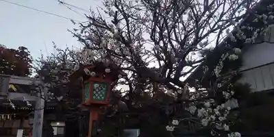 女化神社(茨城県)