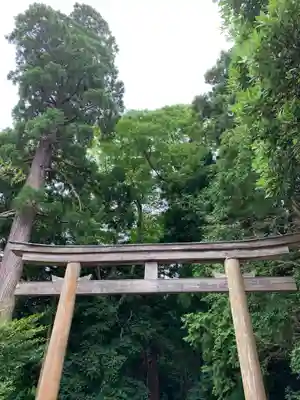 若狭彦神社（上社）の鳥居