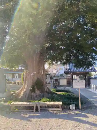 石田寺(東京都)