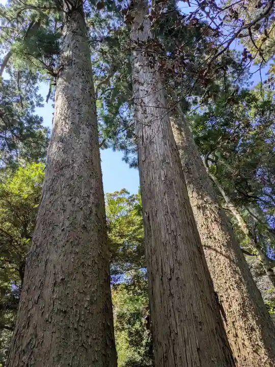 笠森寺(千葉県)