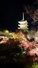 東寺（教王護国寺）の景色