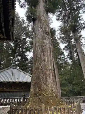 輪王寺薬師堂(本地堂)(栃木県)