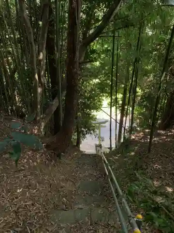 八幡大神(千葉県)