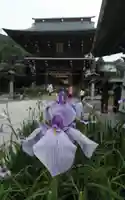 宮地嶽神社の山門・神門