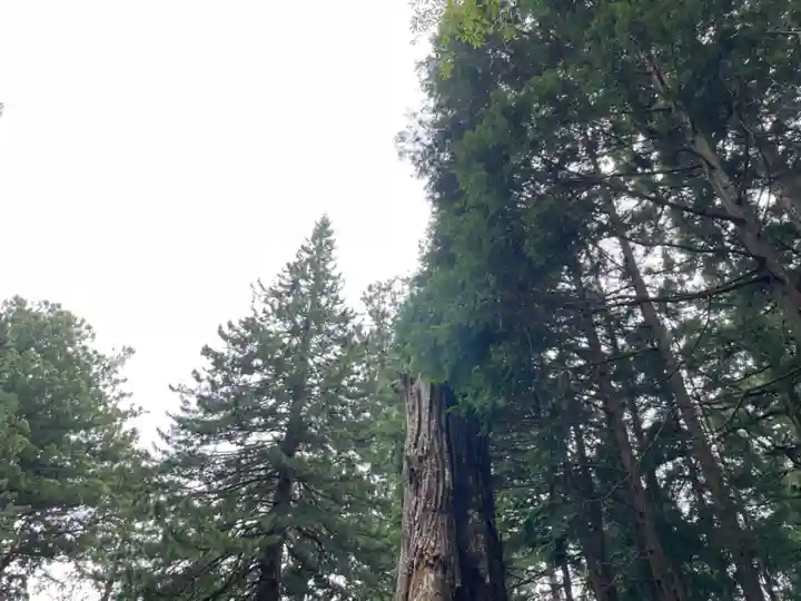 日光東照宮奥宮拝殿(栃木県)