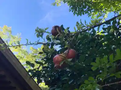 大船観音寺(神奈川県)