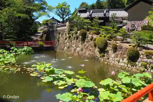長弓寺(奈良県)
