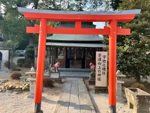 箭弓稲荷神社(埼玉県)