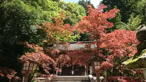 柴神社のその他建物