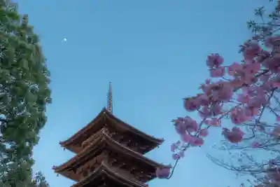 東寺(教王護国寺)の塔