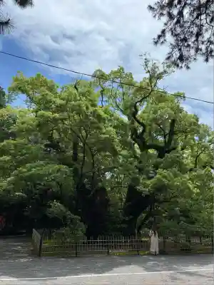 浜松八幡宮(静岡県)