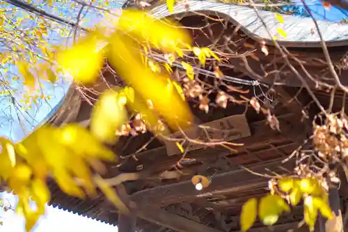 三輪神社(長野県)