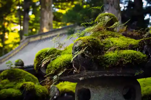 日光東照宮(栃木県)