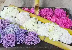 差出磯大嶽山神社 仕事と健康と厄よけの神さまの手水舎(2022年06月18日(土) 17時14分53秒投稿)