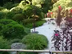 報国寺の庭園