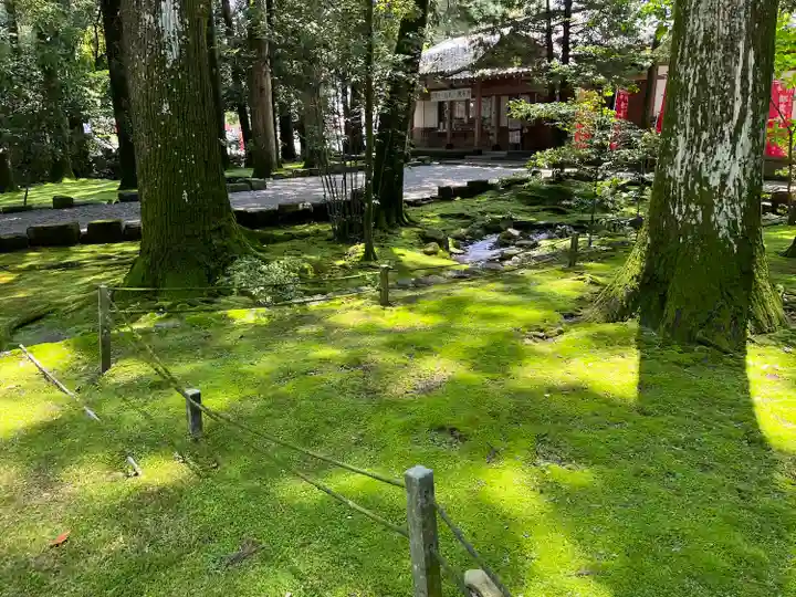 都農神社の自然