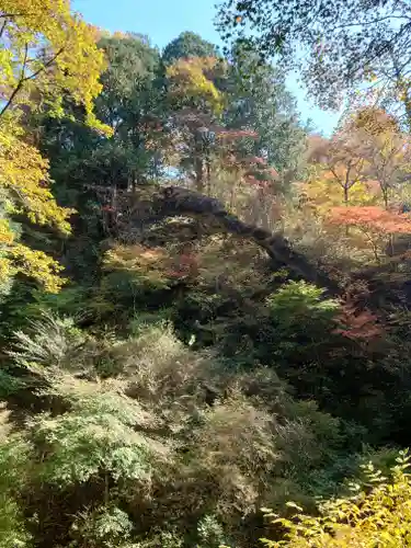 榛名神社(群馬県)