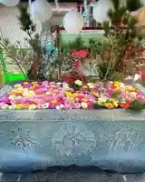 金蛇水神社(宮城県)