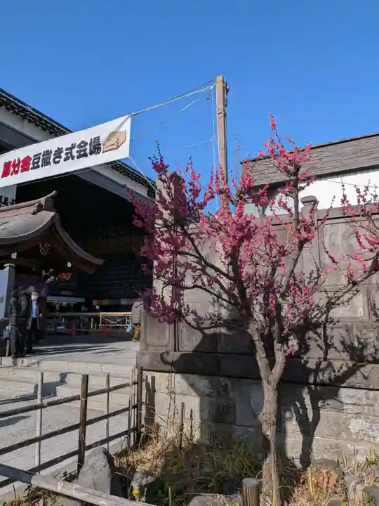 成田山深川不動堂(新勝寺東京別院)(東京都)
