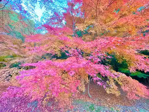 円光寺(三重県)